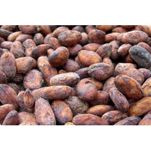 Какао бобы натуральные (особой сушки ). ТМ 